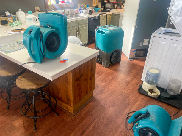 Best Flooded house restoration  in Kimberly, ID