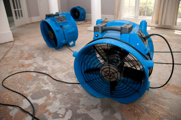 Reliable Kimberly, ID Water damage restoration Solutions