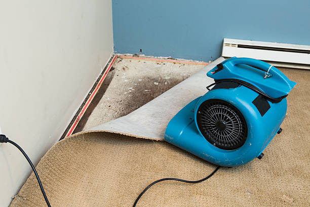 Best Emergency water damage restoration  in Kimberly, ID